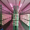 40ft Shipping Container Mushroom Greenhouse Smart Vertical Mushroom Growing Container Farm 
