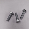 Door Screw