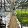 Hydroponic Vegetable Shipping Container Farm Vertical Indoor Growing System Container Greenhouse