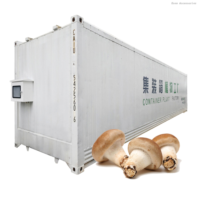 40ft Shipping Container Mushroom Greenhouse Smart Vertical Mushroom Growing Container Farm 